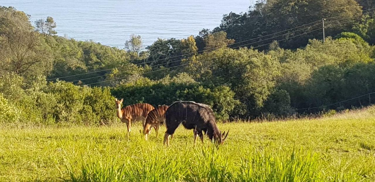 Hakuna Matata Wilderness Ngoại thất bức ảnh